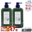 スーパーセール 福袋 人気 ランキング あす楽 乾燥しがちな髪をしなやかにふんわりした質感へ ルベル シャンプー 美容師さん愛用 サロン専売品 植物由来 天然成分