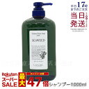 スーパーセール 福袋 人気 ランキング あす楽 乾燥しがちな髪をしなやかにふんわりした質感へ ルベル シャンプー 美容師さん愛用 サロン専売品 植物由来 天然成分