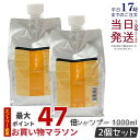 【2個セット】ルベル イオ クレンジング フレッシュメント 1000ml クレンジング シャンプー Lebel IAU Cleansing Freshment 艶髪 さらさらタイプ 頭皮ケア サロンケア セット おすすめ ヘアケア 美容室 美容院 サロン専売品 国内正規品 美容師愛用 送料無料