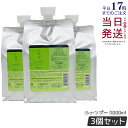 【3個セット】ルベル イオリコミント クレンジング icy 1000ml ルベル シャンプー 詰替用 詰替え 詰め替え用 レフィル リフィル Lebel IAU LYCOMINT CLEANSING ICY サロン専売品 ヘアケア シリコーンフリーシャンプー 国内正規品 送料無料