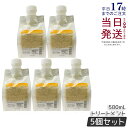 【5個セット】ルベル ジオスタンダード カプセル モイスチャー 500ml 詰め替え 頭皮&髪用トリートメント 頭皮 潤い 保湿 ヘアケア メンズ 男性用 美容 おすすめ Lebel 国内正規品 送料無料