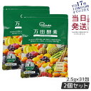 【2個セット】万田酵素 ペーストタイプ スタンダード分包 77.5g (2.5g×31包) 発酵食品 万田発酵 酵素サプリ 発酵酵素 野菜 果物 植物性 美容 ...