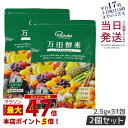 【2個セット】万田酵素 ペーストタイプ スタンダード分包 77.5g (2.5g×31包) 発酵食品 万田発酵 酵素サプリ 発酵酵素 野菜 果物 植物性 美容 ...