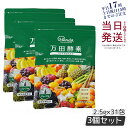【3個セット】万田酵素 ペーストタイプ スタンダード分包 77.5g (2.5g×31包) 発酵食品 万田発酵 酵素サプリ 発酵酵素 野菜 果物 植物性 美容 ...