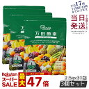 【3個セット】万田酵素 ペーストタイプ スタンダード分包 77.5g (2.5g×31包) 発酵食品 万田発酵 酵素サプリ 発酵酵素 野菜 果物 植物性 美容 ヘルシ? 発酵 ビタミン 妊婦 STANDARD あす楽 国内正規品 送料無料 賞味期限2027年2月