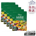 【5個セット】万田酵素 ペーストタイプ スタンダード分包 77.5g (2.5g×31包) 発酵食品 万田発酵 酵素サプリ 発酵酵素 野菜 果物 植物性 美容 ...