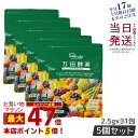 【5個セット】万田酵素 ペーストタイプ スタンダード分包 77.5g (2.5g×31包) 発酵食品 万田発酵 酵素サプリ 発酵酵素 野菜 果物 植物性 美容 ...