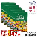 【5個セット】万田酵素 ペーストタイプ スタンダード分包 77.5g (2.5g×31包) 発酵食品 万田発酵 酵素サプリ 発酵酵素 野菜 果物 植物性 美容 ヘルシ? 発酵 ビタミン 妊婦 STANDARD あす楽 国内正規品 送料無料 賞味期限2027年2月