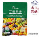 万田酵素 ペーストタイプ スタンダード分包 77.5g (2.5g×31包) 発酵食品 万田発酵 酵素サプリ 発酵酵素 野菜 果物 植物性 美容 ヘルシ? 発酵...