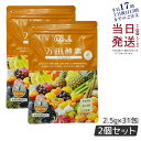 【2個セット】 万田酵素 ペーストタイプ GINGER ジンジャー 分包 77.5g (2.5g×31包) 自然発酵食品 酵素サプリ 発酵酵素 万田酵素 万田発...