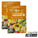 【2個セット】 万田酵素 ペーストタイプ GINGER ジンジャー 分包 77.5g (2.5g×31包) 自然発酵食品 酵素サプリ 発酵酵素 万田酵素 万田発酵 あす楽 国内正規品 賞味期限2027年2月
