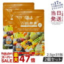 【2個セット】 万田酵素 ペーストタイプ GINGER ジンジャー 分包 77.5g (2.5g×31包) 自然発酵食品 酵素サプリ 発酵酵素 万田酵素 万田発酵 あす楽 国内正規品 賞味期限2027年2月