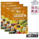 【3個セット】 万田酵素 ペーストタイプ GINGER ジンジャー 分包 77.5g (2.5g×31包) 自然発酵食品 酵素サプリ 発酵酵素 万田酵素 万田発...