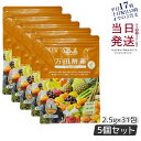 【5個セット】 万田酵素 ペーストタイプ GINGER ジンジャー 分包 77.5g (2.5g×31包) 自然発酵食品 酵素サプリ 発酵酵素 万田酵素 万田発...