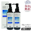 【2本セット】ミルボン カラーガジェット カラーシャンプー 150ml ブルーベリーアッシュ ヘアカラー ヘアケア カラー長持ち 美容室 サロン専売品 美容院 ヘアケア MILBON COLOR GADGET milbon 保湿 補修 正規品 送料無料