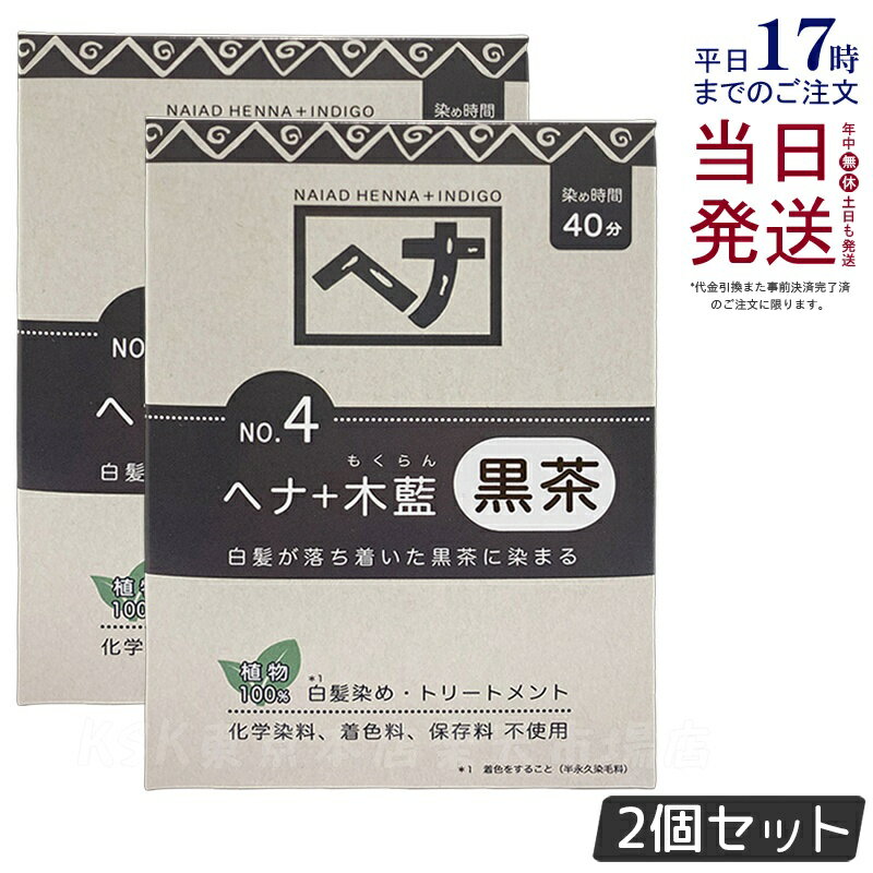 【2個セット】ナイアード ヘナ＋木藍 黒茶 100g Naiad 黒茶系 No.4 白髪染め ヘアカラー 染毛料 カラー..