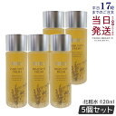 【5本セット】ポリシー化粧品 イミュニティフレッシュ 120ml 化粧水 さっぱり スキンケア POLICY 化粧水 国内正規品 送料無料
