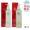 【正規品 あす楽】REVI ルヴィ クレ