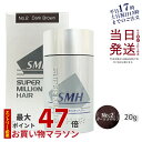 ルアン スーパーミリオンヘアー No.2 ダークブラウン 20g 薄毛 隠し 粉 透けない 微細パウダー 男女兼用