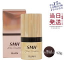 SMH ヘアファンデーション 12g No.2 ダークブラウン スーパーミリオンヘアー ルアン ヘアファンデーション 白髪隠し 分け目 カバー 薄毛隠し 正規品...