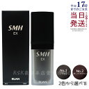 ルアン スーパーミリオンヘアーEX 20g No.1 ブラック No.2ダークブラウン 男女兼用 薄毛隠し 白髪隠し 女性用 薄毛 白髪 円形脱毛症 対策 頭皮...