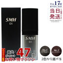ルアン スーパーミリオンヘアーEX 20g No.1 ブラック No.2ダークブラウン 男女兼用 薄毛隠し 白髪隠し 女性用 薄毛 白髪 円形脱毛症 対策 頭皮...