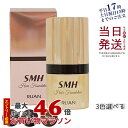 SMH ヘアファンデーション 12g No.1 ブラック No.2 ダークブラウン No.3 ライトブラウン スーパーミリオンヘアー ルアン ヘアファンデーション 白髪隠し 分け目 カバー 薄毛隠し 正規品 送料無料