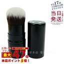 スピケア V3セットアップパウダーブラシ パウダー用ブラシ SPICARE V3 set up powder brush 正規品