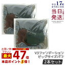 【2個セット】スピケア V3専用bigパフ 持ち運びケース付き SPICARE スピケア v3ファンデーションパフ ビッグサイズ 交換パフ メイク道具 スポンジ メイクアップスポンジ メイクアップパフ 送料無料