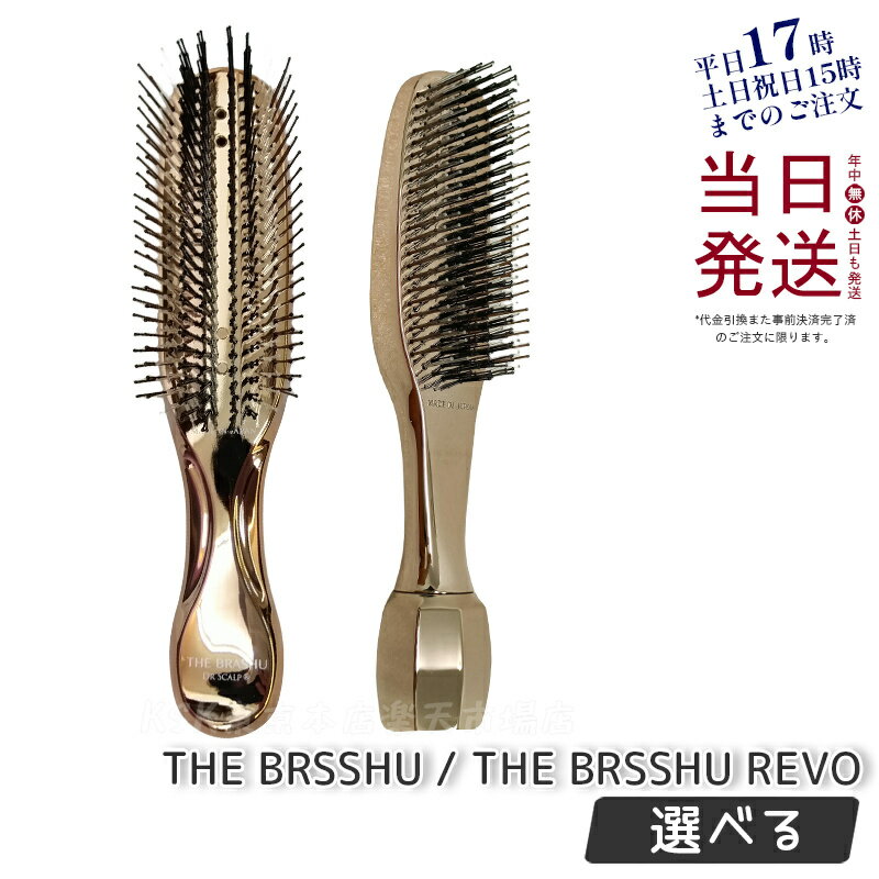 【国内正規品】ドクタースカルプ dr scalp ザ ブラシュ the brashu ザ ブラシュ レボ THE BRSSHU REVO 進化型 スカルプブラシ 頭皮ブラシ 頭皮ケア マッサージ用ヘアーブラシ クシ 美顔ローラー WILLAのサムネイル