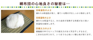 オーガニックコットン三層固敷き布団(シングル100×210)