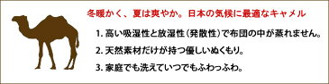 キャメル三層敷き布団（シングル）【日本製】/キャメルふとん