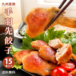 手羽餃子15本入り 冷凍 九州産 おつまみ お試し 送料無料 レンジで簡単調理 手羽先 人気 お取り寄せ グルメ おかず 博多 惣菜 鶏肉 焼き鳥 名物 肉 明太 餃子 手羽 個包装 贈り物 ギフト お中元 ご当地 お土産