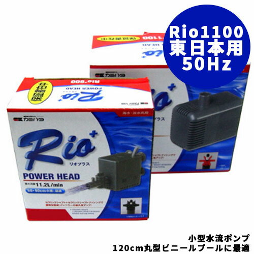 すくい ポンプ 小型 水流ポンプ プール用 Rio1100 [ 50Hz・東日本用 ] 1個 