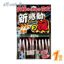 ★新感動の滝 (1個){ 花火 おもしろ花火 夏 こども お祭り 縁日 子供会 イベント 景品 夏祭り }