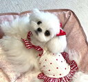 犬服 夏 ワンピース 小型犬 可愛い 犬用 かわいい おしゃれ チェリー 着せやすい 袖なし ペット服 ドッグウェア 散歩 ペットウェア 涼し気 猫用にも対応