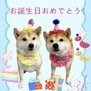 ペットの帽子と前掛けの2点セット 犬用 猫用 誕生日グッズ パーティグッズ 誕生日帽子 ペットの誕生日会 パーティー用品 記念撮影 送料無料