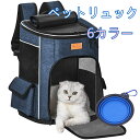 透明ペットキャリーバッグ 折りたたみ収納 大容量 猫犬兼用 四季対応 軽量 通気 メッシュ 多機能 手提げ ショルダー おしゃれ 可愛い