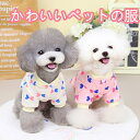 犬猫兼用 秋冬新作 ペット用スウェット 天使の羽付き トレーナー 可愛い小さな翼デザイン 二本足タイプ 柔らかくてあったか おしゃれな秋冬ウェア 小型犬 猫用 犬用スウェットシャツ 暖かい犬用コート