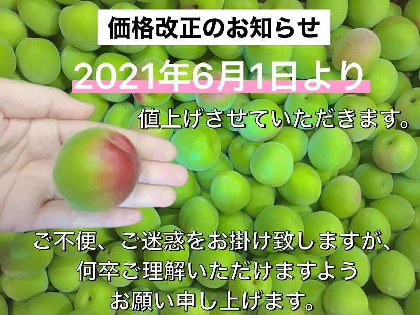 【お買い得】【無添加】【少量パック】【紀州小梅200g・白干梅】不動農園/自社農園/自社栽培/和歌山県/紀州産/小梅/梅干し/うめ/梅/無添加/塩のみ/ギフト/お中元/お歳暮/母の日/父の日/ハロウィン