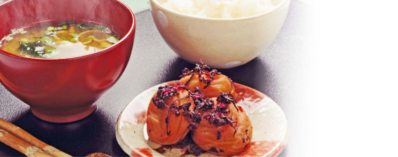 【徳用】【家庭用紀州南高梅400g・かつお味】まいちゃん家の紀州南高梅（つぶれ梅ではありません）不動農園 自社 栽培 国産かつお節使用 和歌山県 紀州南高梅 梅干し ギフト 国産 かつお節 鰹節 紫蘇 福袋 ホワイトデー