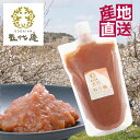 ねり梅 【 はちみつ 五代ねり梅 350g スタンドパックパウチ袋 塩分 10% 】 練り梅 ねり梅 チューブ 梅干 紀州 自宅用 南高梅 はちみつ 紀州南高梅...
