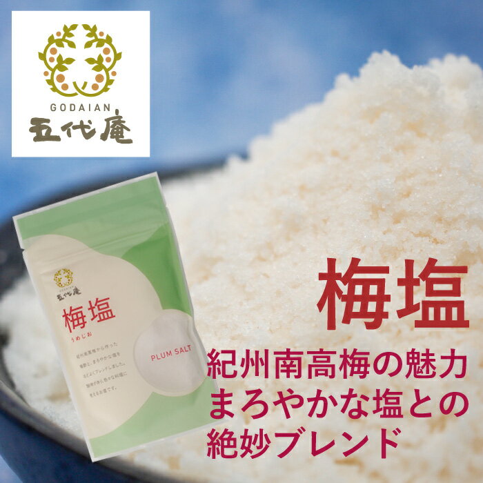 調味料 塩 【 梅塩 100g 袋 】 しお 成分 ソルト しおり 美味しい おしゃれ プレゼント ミネラル 豊富 おにぎり 極上 体にいい 海の恵み ザラザラ ミネラル 五代庵