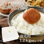 梅干し 自宅用【 はちみつ梅干し 紀州五代梅 1.2kg (600g×2個) プラ容器 塩分 10% 】 梅干 紀州 ギフト 南高梅 お歳暮 お中元 はちみつ 紀州南高梅 安心 お菓子 大量 保存容器 小分け 大容量 和歌山 五代庵