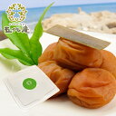 梅干し 自宅用【 昆布梅 こんぶ梅干し プラ容器 塩分 11% 】 梅干 紀州 南高梅 自宅用 紀州南高梅 お取り寄せ 国産 おしゃれ 箱 プレゼント おやつ 昆布漬け 高級 贈答 和歌山 入れる 備蓄 お湯割り 五代庵
