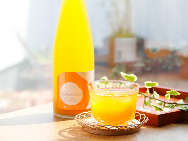 【ブラックフライデー限定割引クーポン配布中!】ジュース ギフト 【 有田みかんジュース ストレートタイプ 495ml 瓶 】 ギフト 歳暮 お歳暮 クリスマス ...