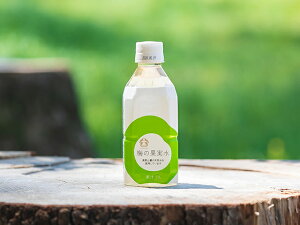 ジュース 梅の果実水350ml ペットボトル 熱中症予防