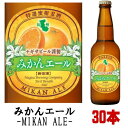 ナギサビール みかんエール 330ml 30本セットフルーツビール 発泡酒 送料無料 冷蔵便発送 送料込み 冷蔵便料金込み 地ビール クラフトビール 渚ビール なぎさビール nagisa beer 和歌山県 白浜町 南紀白浜 お買い物マラソン 店内最大ポイント10倍