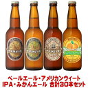 ナギサビール ペールエール アメリカンウィート IPA みかんエール 330ml 合計30本 飲み比べセット送料無料 冷蔵便発送 送料込み 地ビール クラフトビール 渚ビール なぎさビール nagisa beer 和歌山県 白浜町 南紀白浜