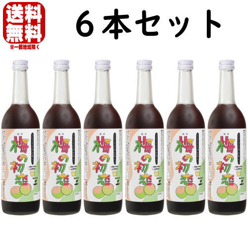 梅シロップ 梅の初恋 6本フルリニューアル 送料無料 送料込み 和歌山県 紀州 中野BC シロップ うめシロップ 割材 割り材 酎ハイ サワー カクテル ノンアルコール ソフトドリンク